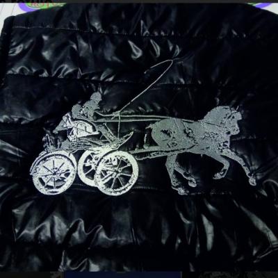 31337924 1346082092203076 4107164808924818273 N