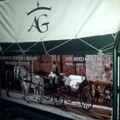 Rotulación de vehículos - AG Coches de caballos